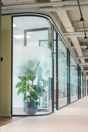 Moderne kantoorruimte aan de Joop Geesinkweg met glazen wanden en een grote groene plant in een glazen hoekkamer.